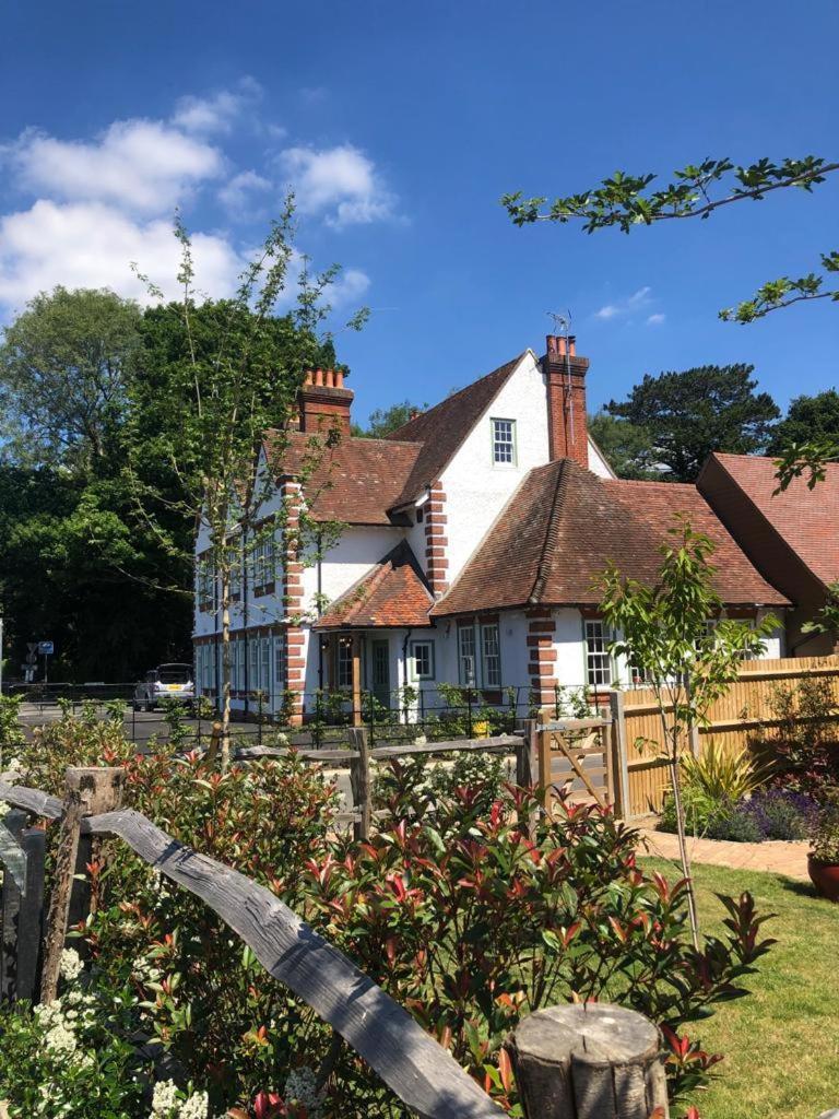 The Bulls Head Inn Ewhurst Esterno foto